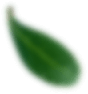 Background decoration